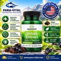 shilajit standardisé, 400 mg, 60 capsules végétariennes