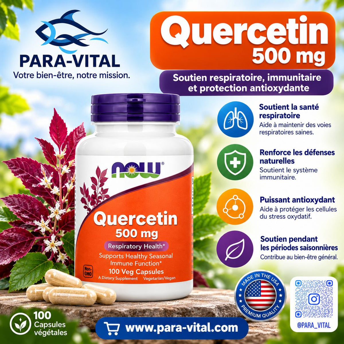 Quercétine, 500 mg, 100 capsules végétariennes - NOW Foods -